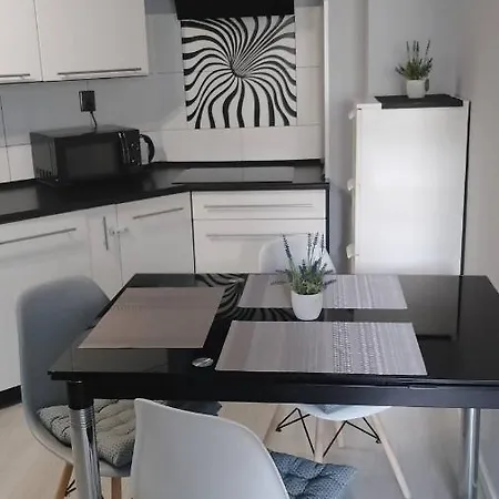 Apartament Zalesie Z Tarasem Lubiń Exterior foto