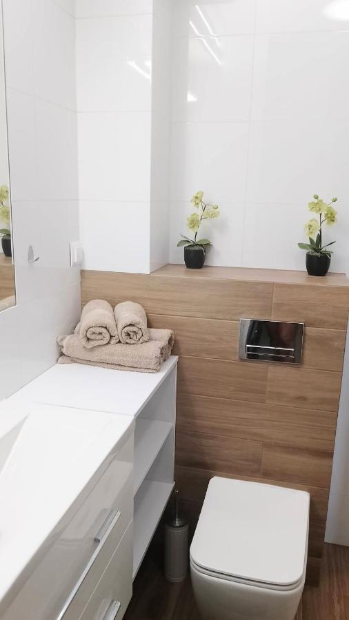 Apartment Zalesie Z Tarasem Lubiń