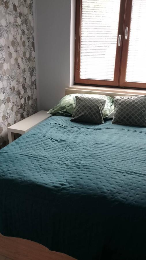 Apartment Zalesie Z Tarasem Lubiń